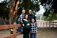 Brown Family Maternity